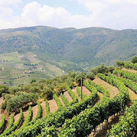 فيلا Quinta Do Monte Bravo - Douro - Quarto Duplo Ervedosa do Douro المظهر الخارجي الصورة