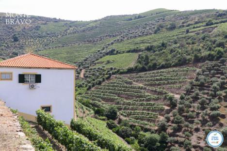 فيلا Quinta Do Monte Bravo - Douro - Quarto Duplo Ervedosa do Douro المظهر الخارجي الصورة
