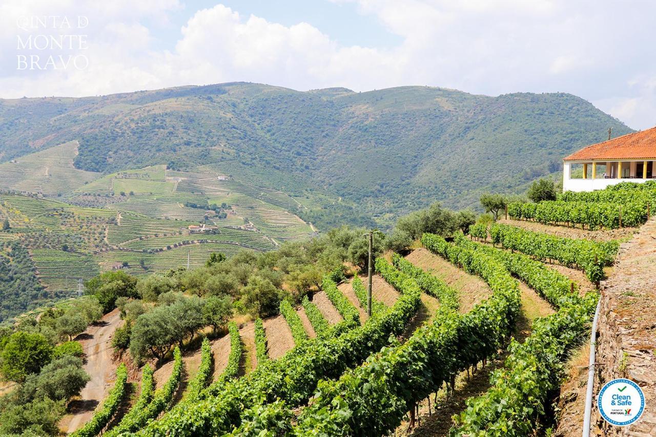 فيلا Quinta Do Monte Bravo - Douro - Quarto Duplo Ervedosa do Douro المظهر الخارجي الصورة