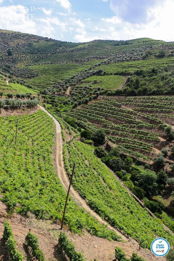 فيلا Quinta Do Monte Bravo - Douro - Quarto Duplo Ervedosa do Douro المظهر الخارجي الصورة