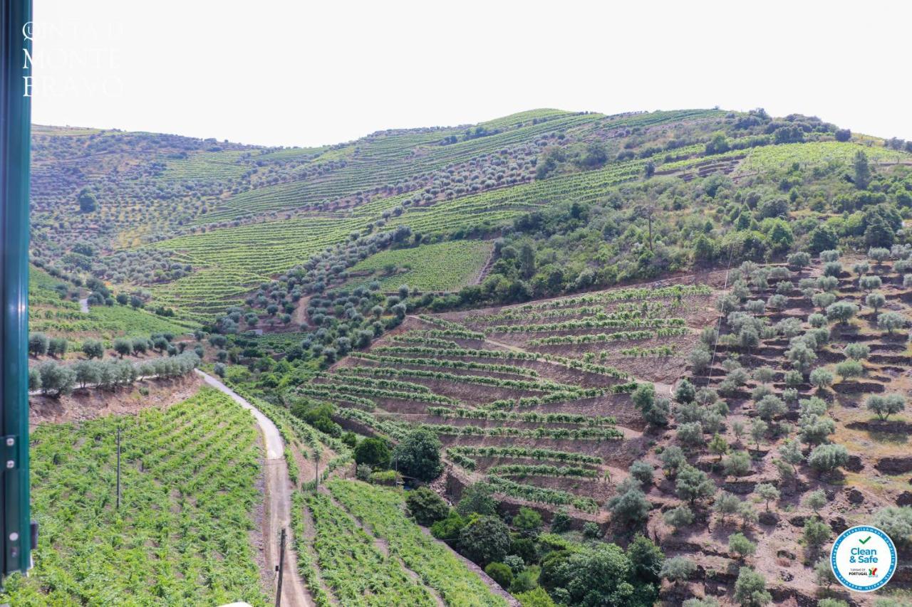 فيلا Quinta Do Monte Bravo - Douro - Quarto Duplo Ervedosa do Douro المظهر الخارجي الصورة